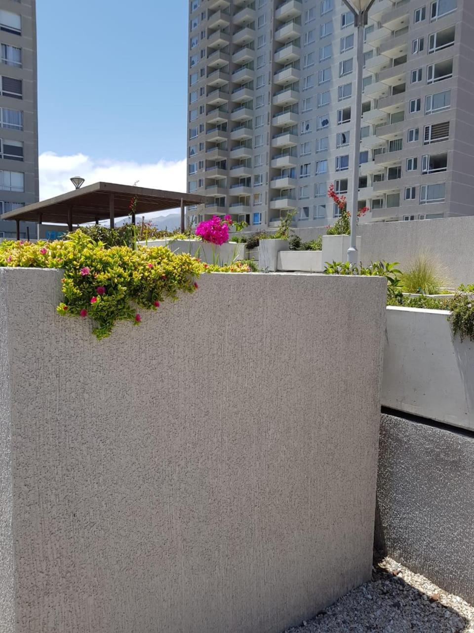 Hermoso Departamento Con Vista Al Mar 安托法加斯塔 外观 照片